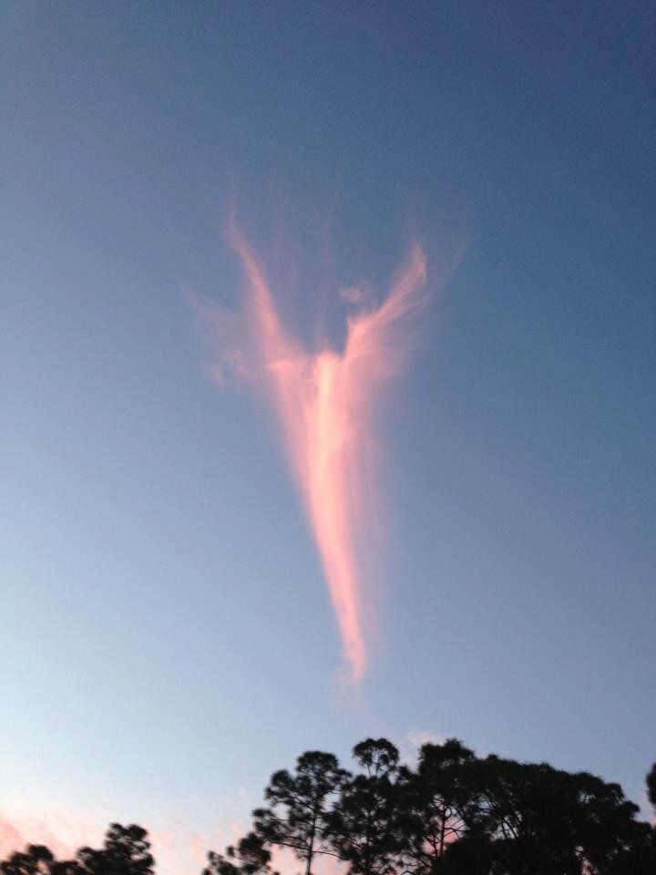 Angel Cloud By Jodie Guthrie