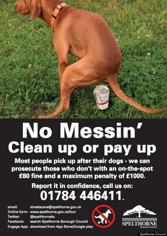 Spelthorne Council's Graphic Dog Poo Poster Goes Viral as Thousands