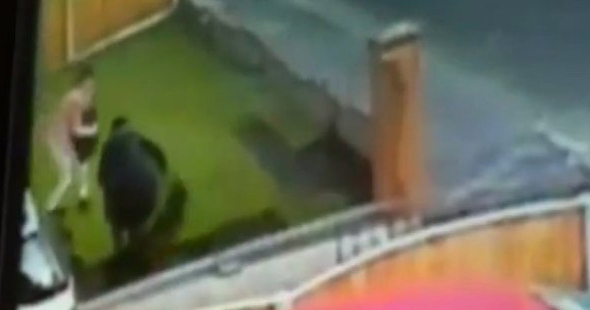 Cheeky Thieves Are Caught On Camera Stealing Grass From A Front Lawn In ...