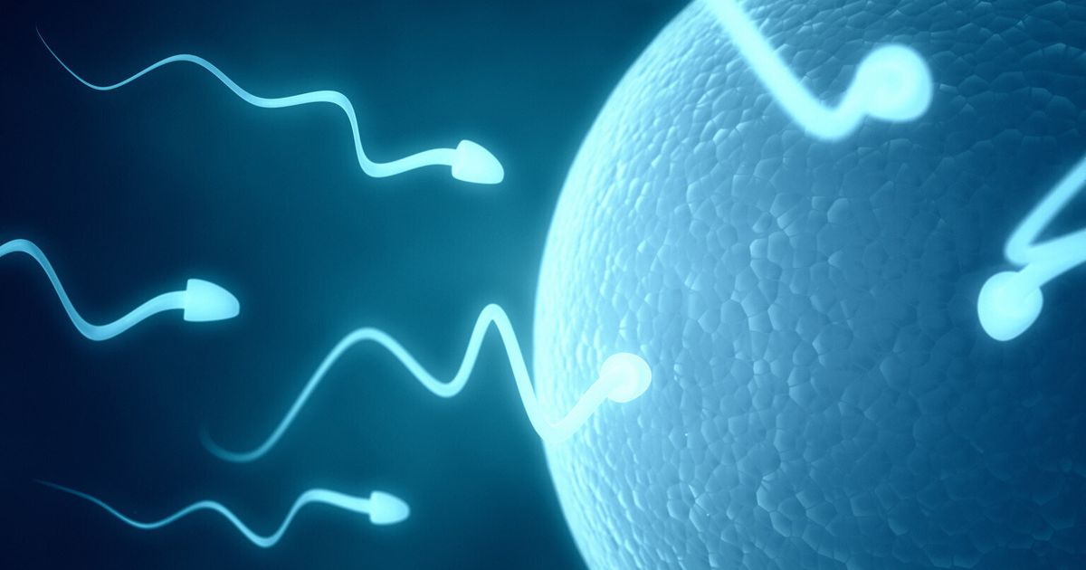 10-things-you-need-to-know-before-you-test-your-sperm-count-huffpost