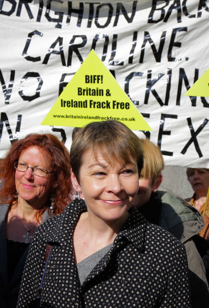 Caroline Lucas court case