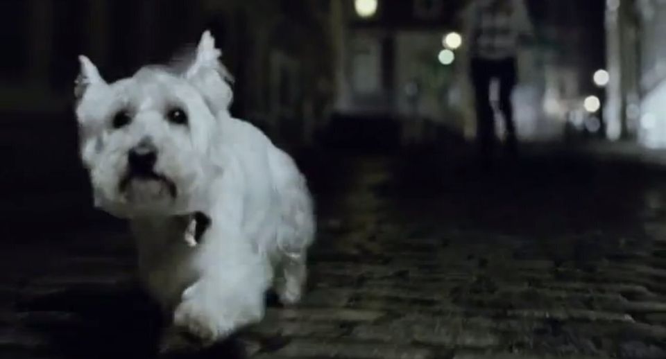 A white dog runs down a dark cobbled street, pursued by...