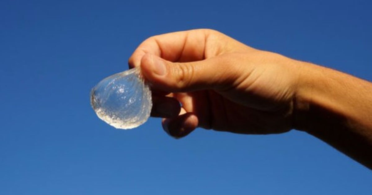 Edible Algae Blobs Could Replace Drinking Bottles HuffPost UK Tech