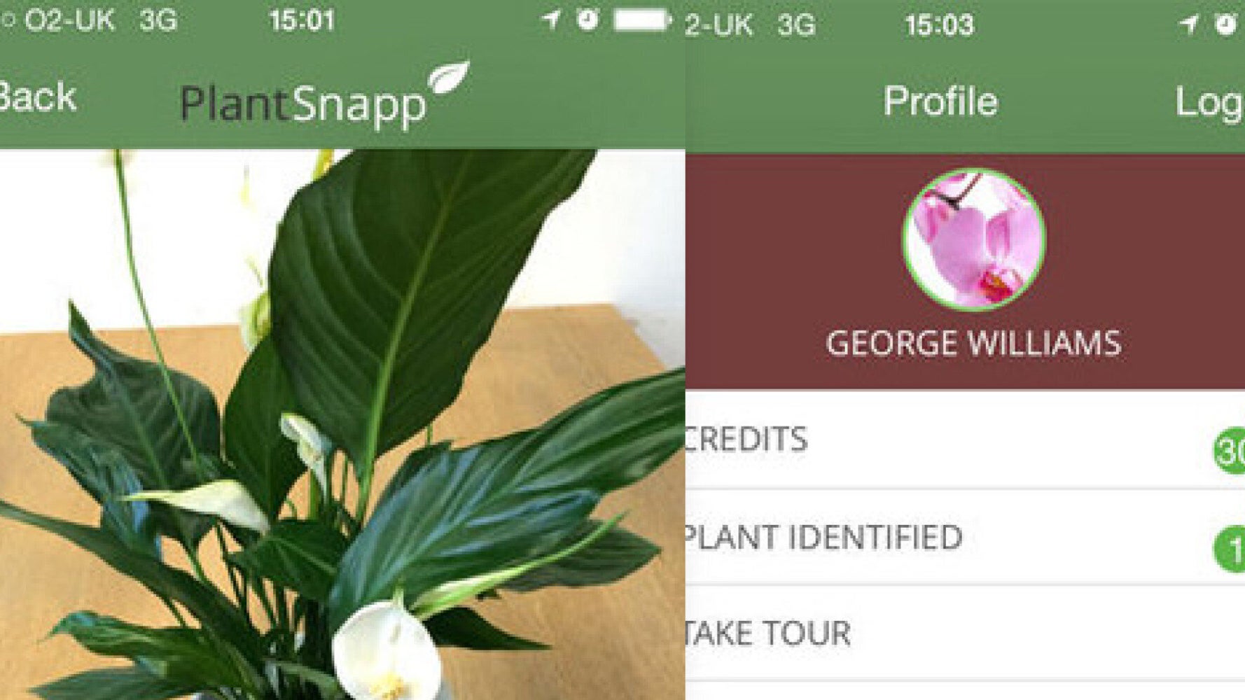 This App Can Identify Your Mystery Plants HuffPost UK Tech