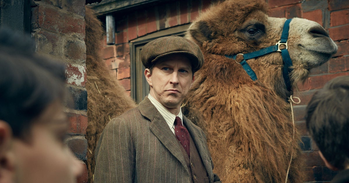 'Our Zoo' BBC Drama Draws Complaints From Animal Defenders