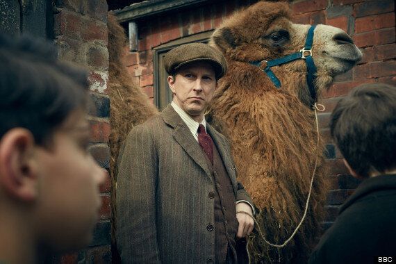 Our Zoo' BBC Drama Draws Complaints From Animal Defenders International  About Treatment Of Wild Creatures | HuffPost UK Entertainment