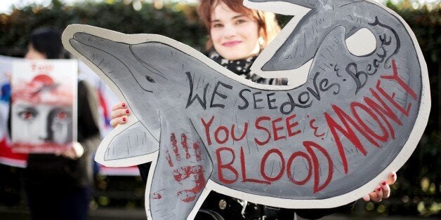 A demonstrator holds a placard which reads 'Taiji Stop Killings Dolphins' outside the Japanese Embassy at a protest in London