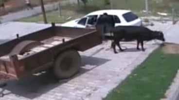 funny Russian videos funny Russian videos