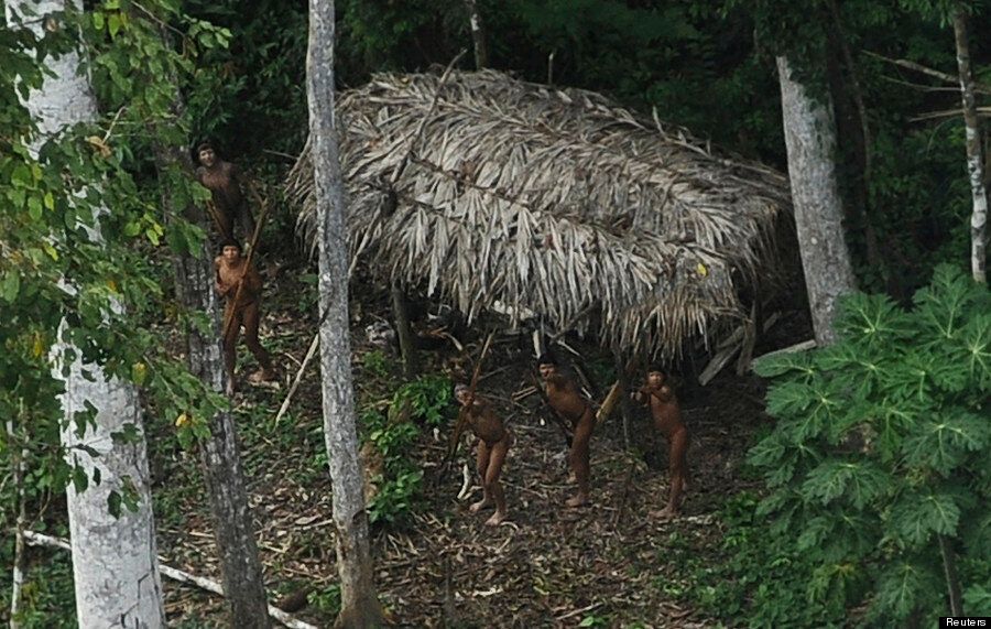 Jungle Blaik Mail Porn - Uncontacted' Amazon Ashaninka Tribesmen Brandish Spears At Plane (PICTURES)  | HuffPost UK News