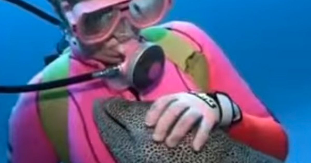 Diver Befriends An Eel In This Magical Video HuffPost UK Comedy