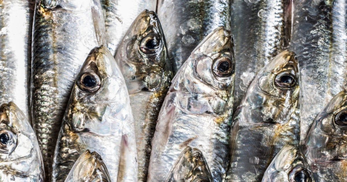Which Fish Can We Eat Now? HuffPost UK