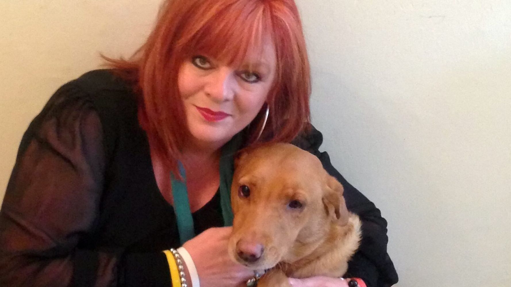 This Incredible Dog Sniffed Out Owner's Breast Cancer By Nuzzling And ...
