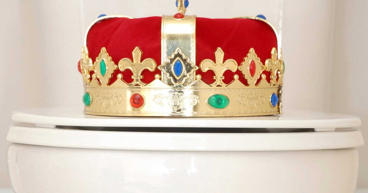 10 Facts About The Toilet Habits Of Brits Including How Many Of You Use