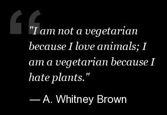 10 Funny Quotes To Celebrate World Vegetarian Day | HuffPost UK Comedy