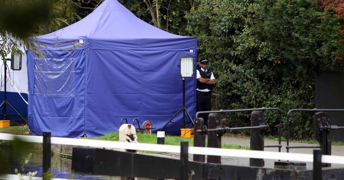 River Brent Body Confirmed As Missing Teen Alice Gross Huffpost Uk News 7307