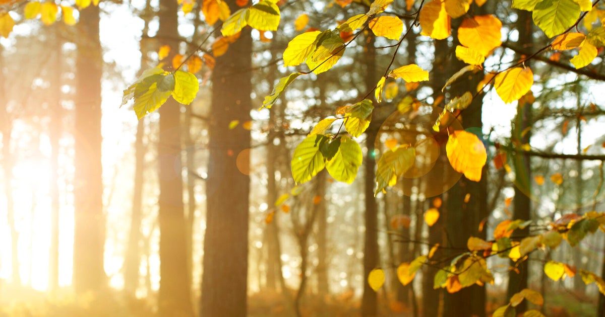 Less Screen, More Green Digital Detoxing and Eco Tourism HuffPost UK