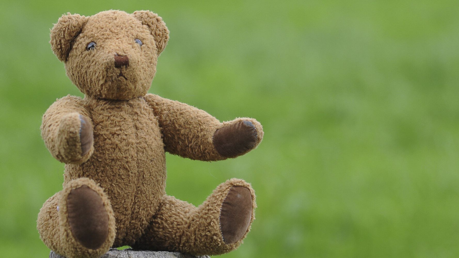 Burglar Nabbed After Having Sex With Teddy Bear And Leaving Dna 