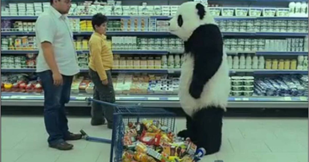 Hilarious Panda Cheese Adverts (VIDEO) | HuffPost UK Comedy