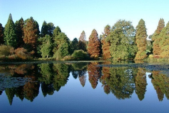 Bedgebury Pinetum, Kent