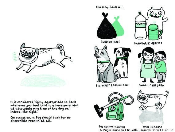 A pug's store guide to etiquette