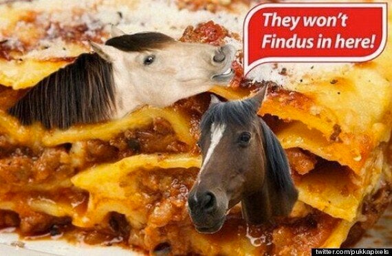 Horse Meat In Lasagne: Findus Mocked Online | HuffPost UK News