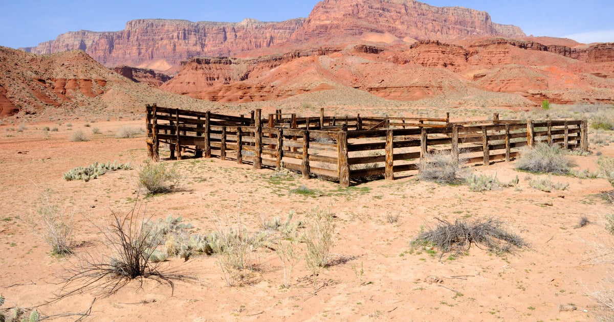 The Top Dude Ranch Resort in Arizona | HuffPost UK Life
