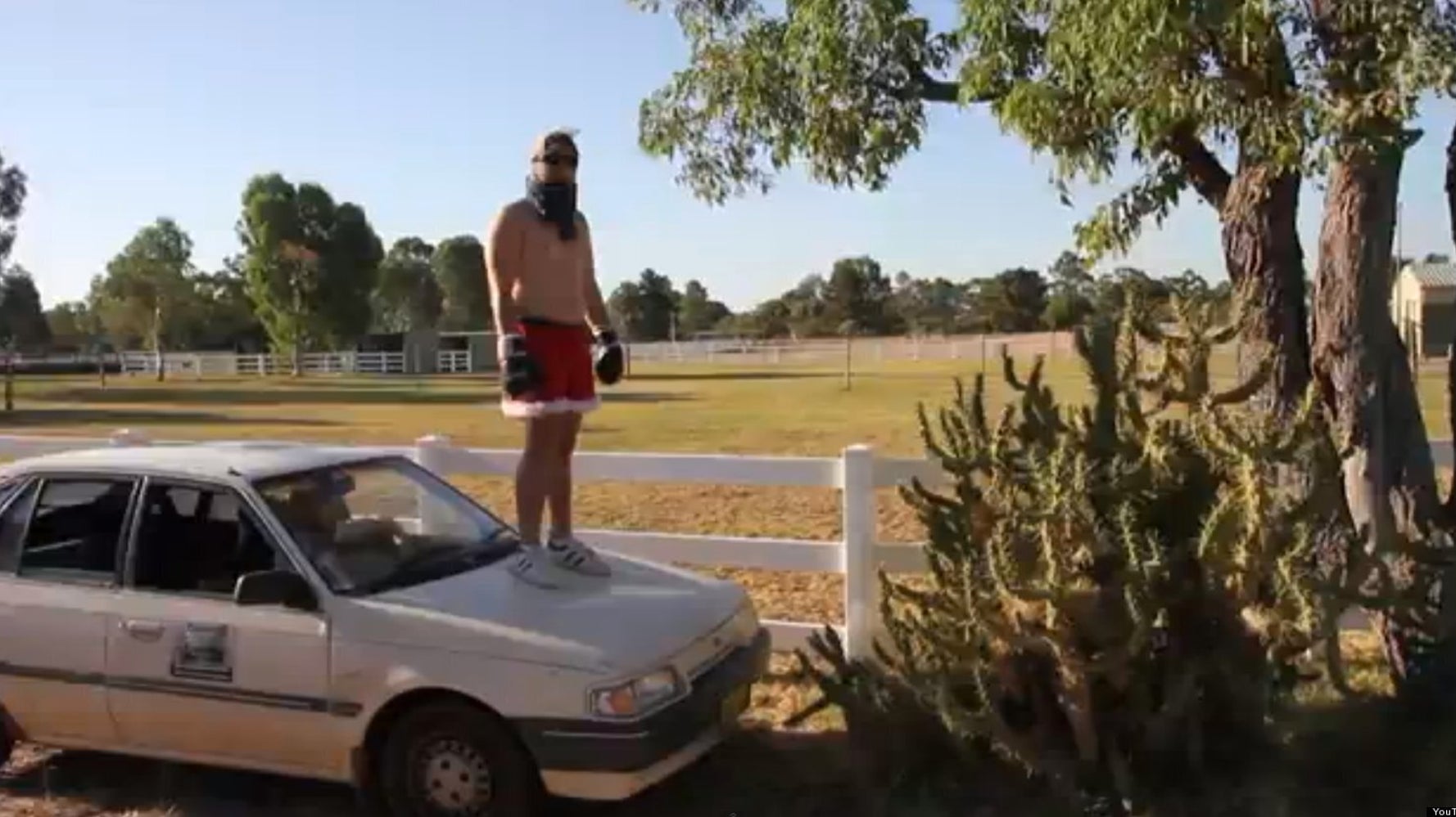 Man Jumps Straight Into Cactus. The Idiot. (VIDEO) | HuffPost UK Comedy