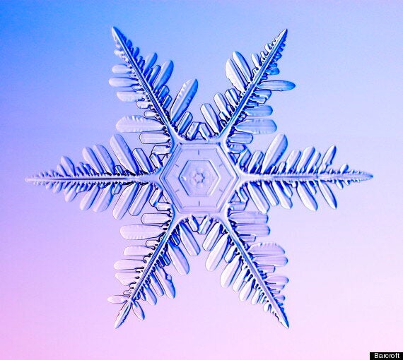 beautiful snowflake photography