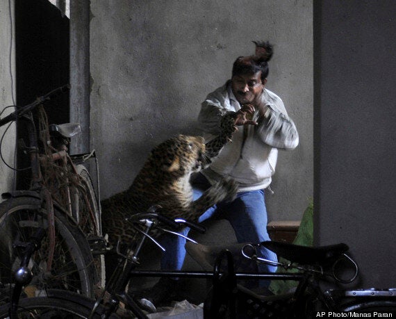 Pictures Of The Year 2012: A Month By Month
