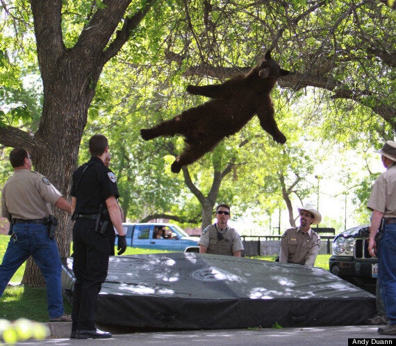 Pictures Of The Year 2012: A Month By Month