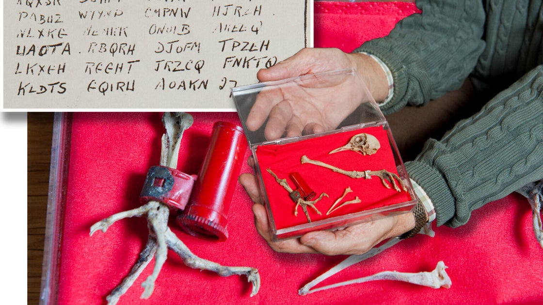 Pigeon Code Letters World War II Pigeon Code deciphered