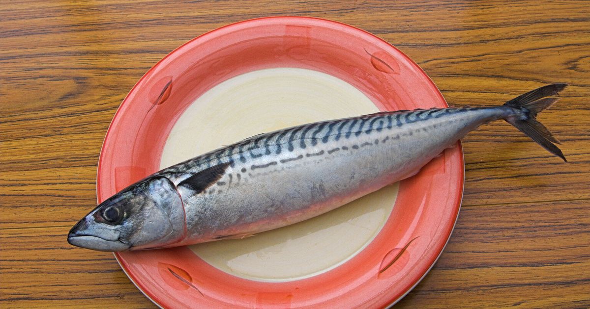 eating-oily-fish-can-extend-life-study-suggests-huffpost-uk