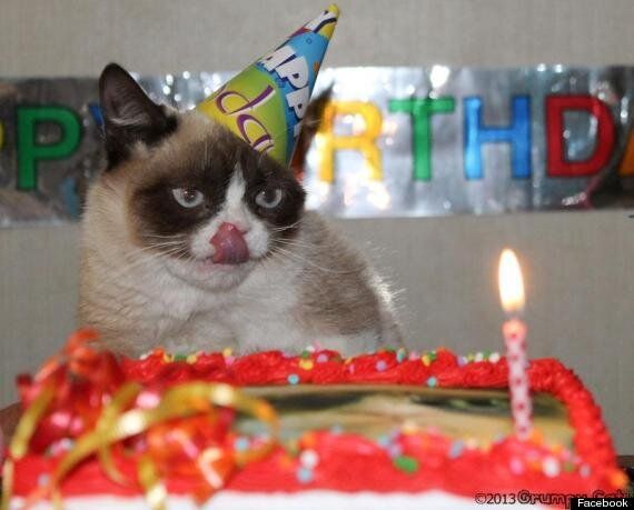 grumpy cat happy birthday song