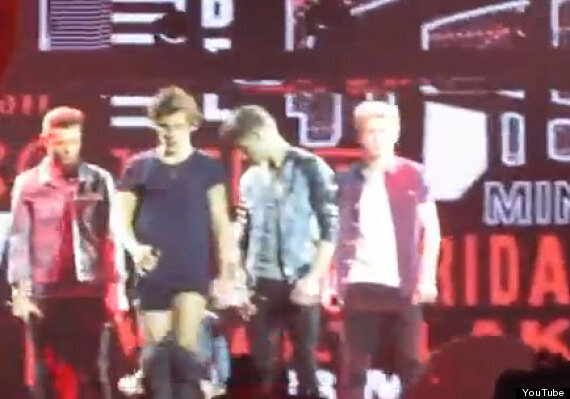 Harry Styles flashes audience as Liam Payne pulls down his trousers at One  Directions O2 concert  Daily Mail Online