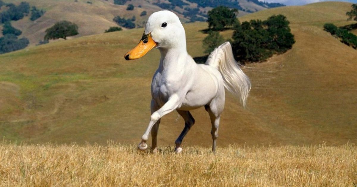 Animal Mash-Ups: The Best Use Of Photoshop Yet? (PICTURES) | HuffPost UK  Comedy