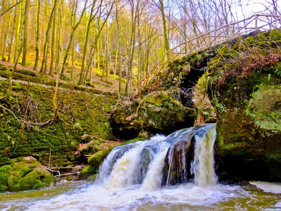 Planet Appetite: Springtime Hiking on the Mullerthal Trail in ...