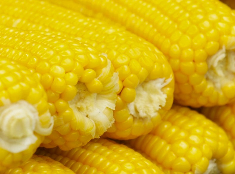 Corn