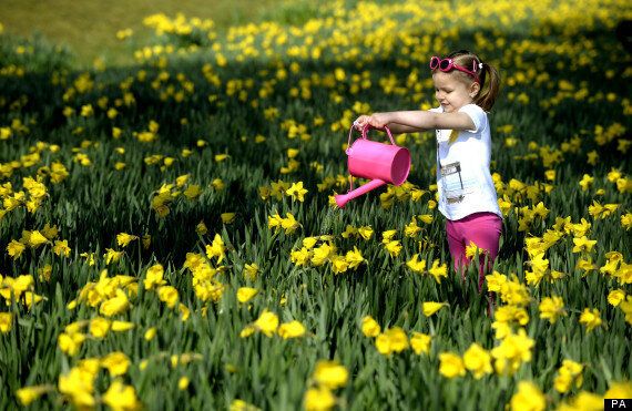 Uk Weather Bank Holiday Weekend Set To Be A Scorcher Huffpost Uk News 9941