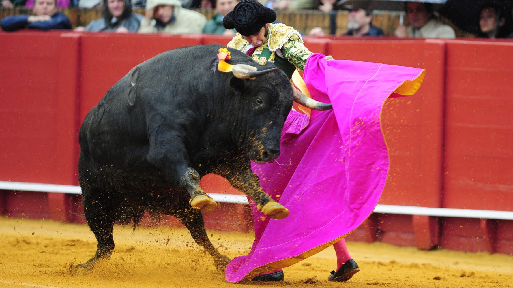 Culture Is Never an Excuse for Animal Cruelty | HuffPost UK Life Culture Is Never an Excuse for Animal Cruelty | HuffPost UK Life