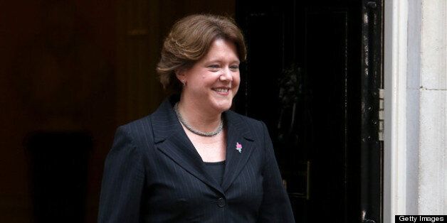 Culture secretary Maria Miller has seen her gay marriage bill pass the Commons