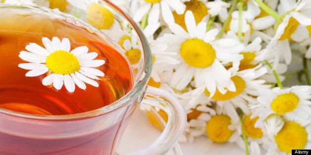 Could camomile tea protect your body from spread of cancer?