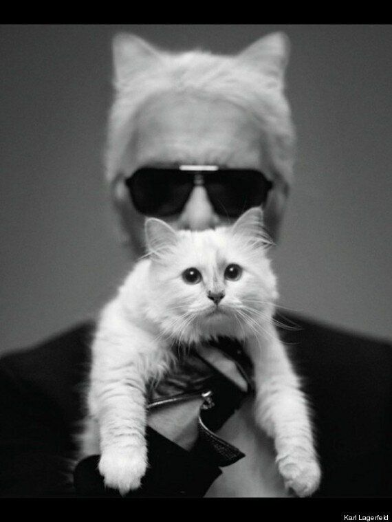 Karl Lagerfeld: 'I've Fallen In Love With Cat Choupette And Would Marry ...