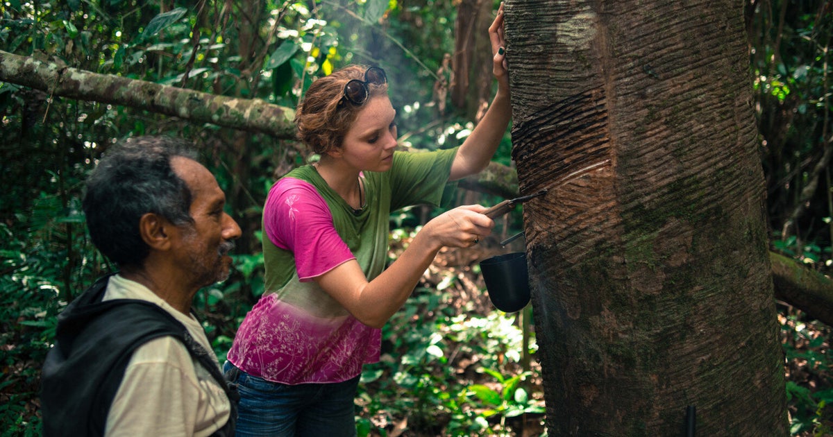 Amazonian Wild Rubber A Vehicle for Green Economics HuffPost UK