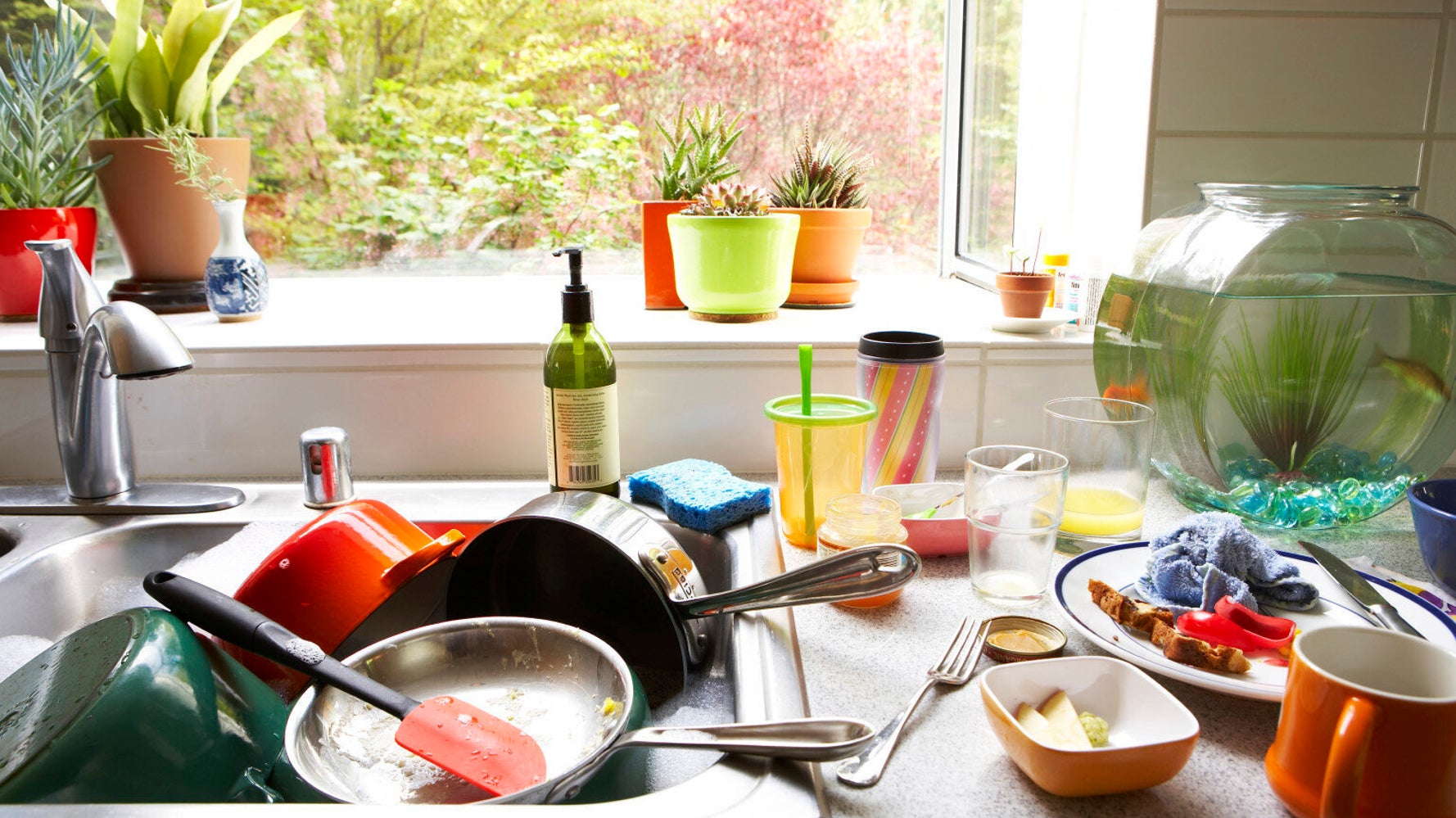 80% At Risk From Food Poisoning In Our Own Kitchens | HuffPost UK Life