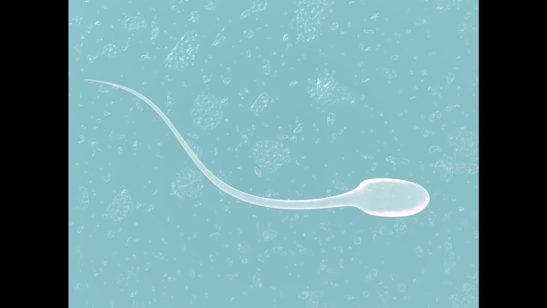 Semen Allergy Affects 12 Of Women But Does Not Impede Conception