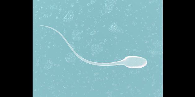 3d render of sperm cell