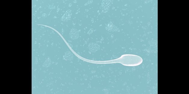 3d render of sperm cell