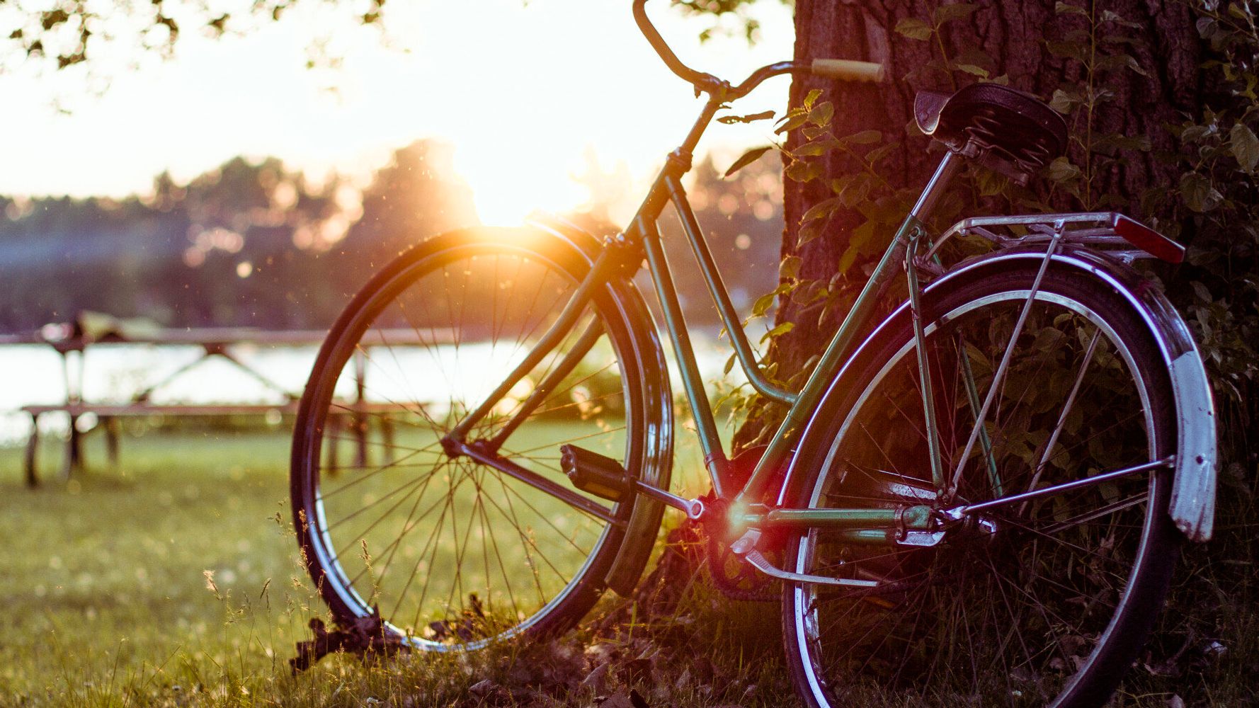 Don't Fear The Faff: Why A Family Bike Ride Is A Great Idea This Summer ...