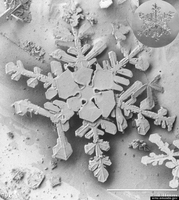 electron microscope images snow