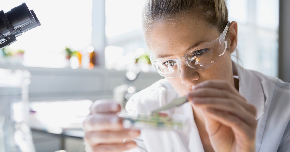 From Lab Bench To Children's Bedside The Persistent Gender Gap In